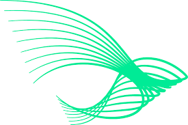 NBSINFRA is a pioneering European initiative funded by the EU, focused on advancing Nature-Based solutions (NBS) to safeguard critical urban infrastructure against both natural and human-induced hazards....